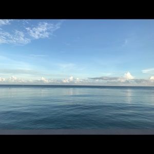 Meet your Posher, Robin